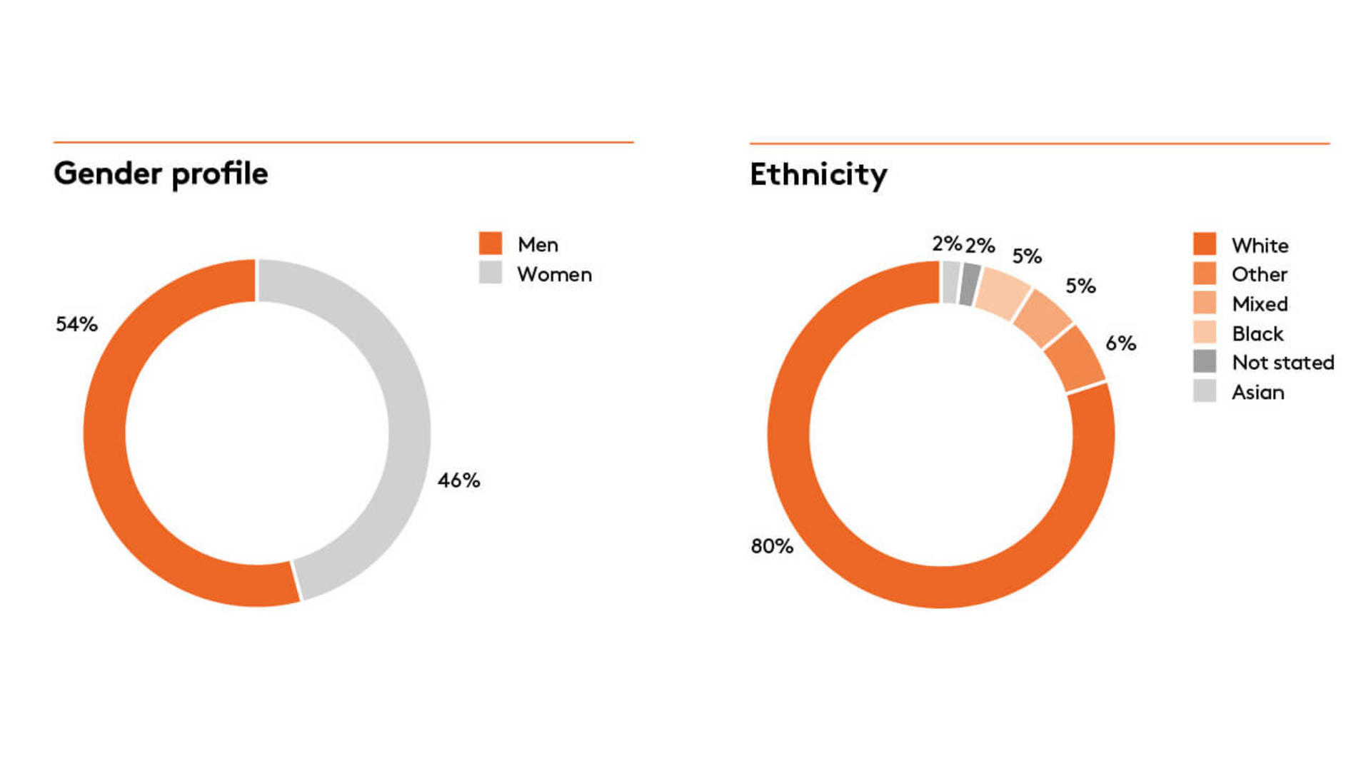 Our diversity profile Diversity chart 1
