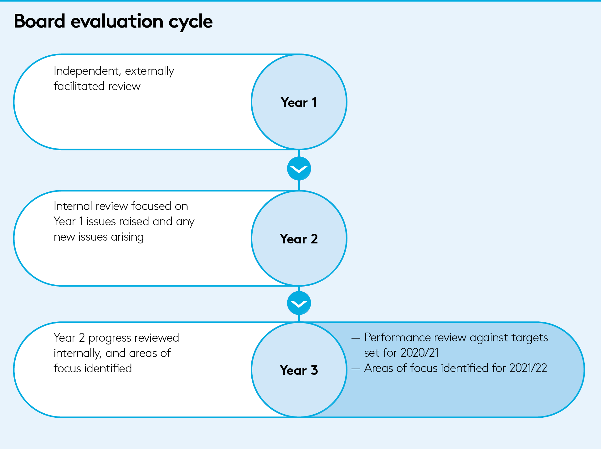 Board evaluation cycle 2021