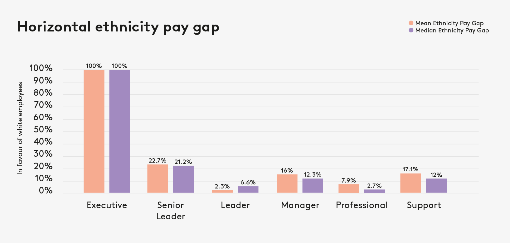 Horizontal ethnicity pay gap