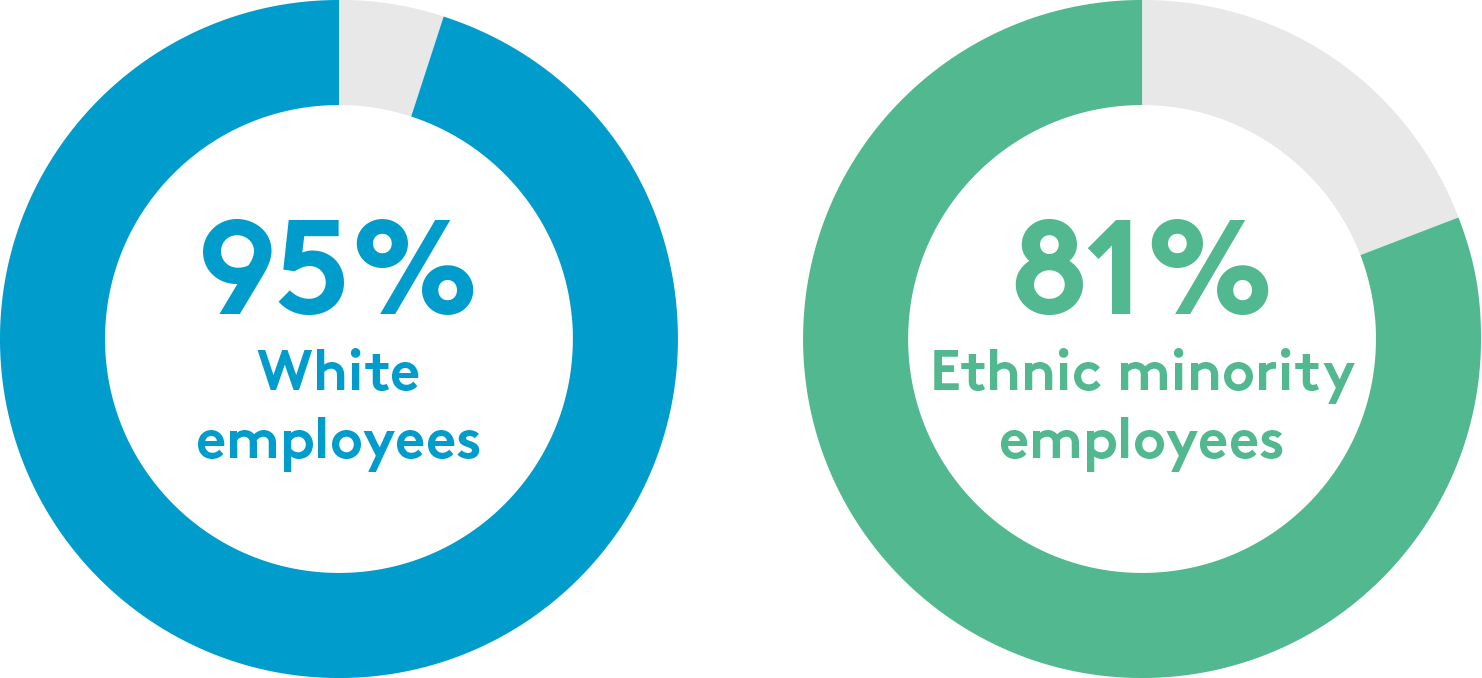 Bonus pie chart